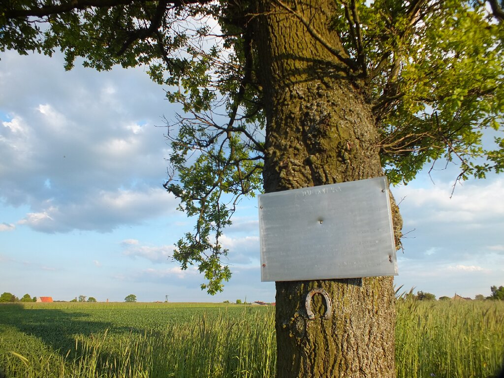 Bitwa pod Mokrą – wariant długi